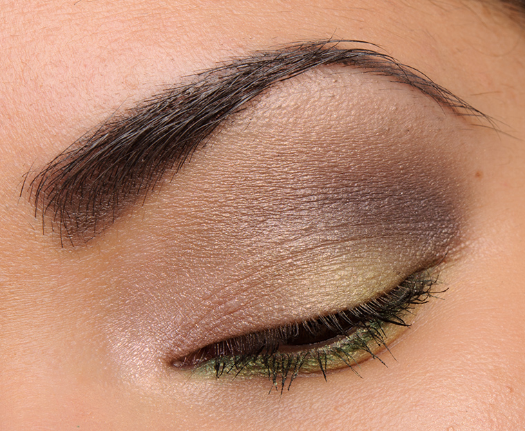 Dior Rose Garden (451) Eyeshadow Palette