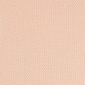 NARS L'Amour, Toujours L'Amour #1 Eyeshadow