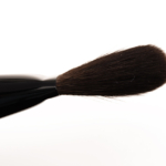 Wayne Goss Holiday 2015 Brush 