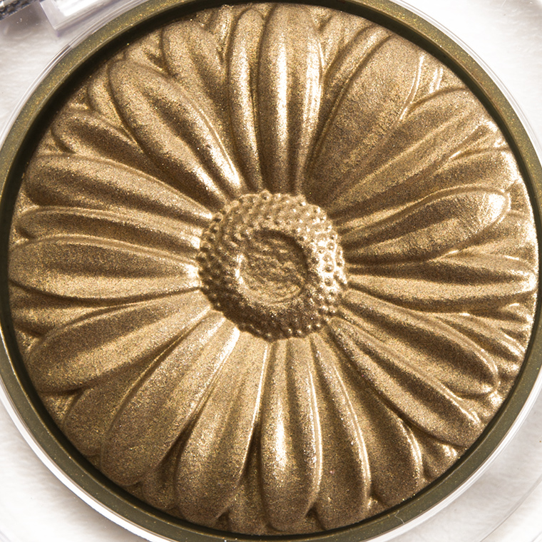 Clinique Willow Pop Lid Pop