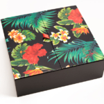 Christian Louboutin Beaute Hawaii Kawai II Nail Coffret