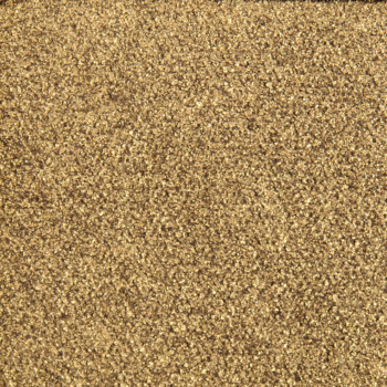 Natasha Denona Antique Olive (14M) Duo-Chrome Eyeshadow