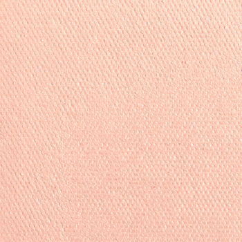 Natasha Denona Flamingo (57V) Matte Eye Shadow