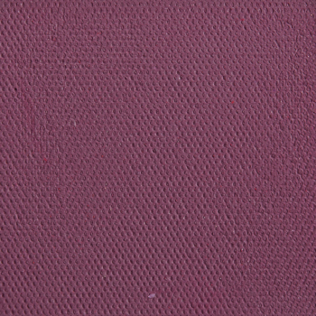 Natasha Denona Aubergine (24V) Matte Eye Shadow