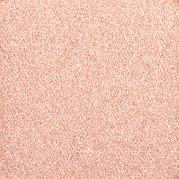 Natasha Denona Golden Beige (52M) Duo-Chrome Eyeshadow