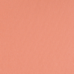 Estee Lauder Sensuous Rose Pure Color Envy Sculpting Blush (2016)