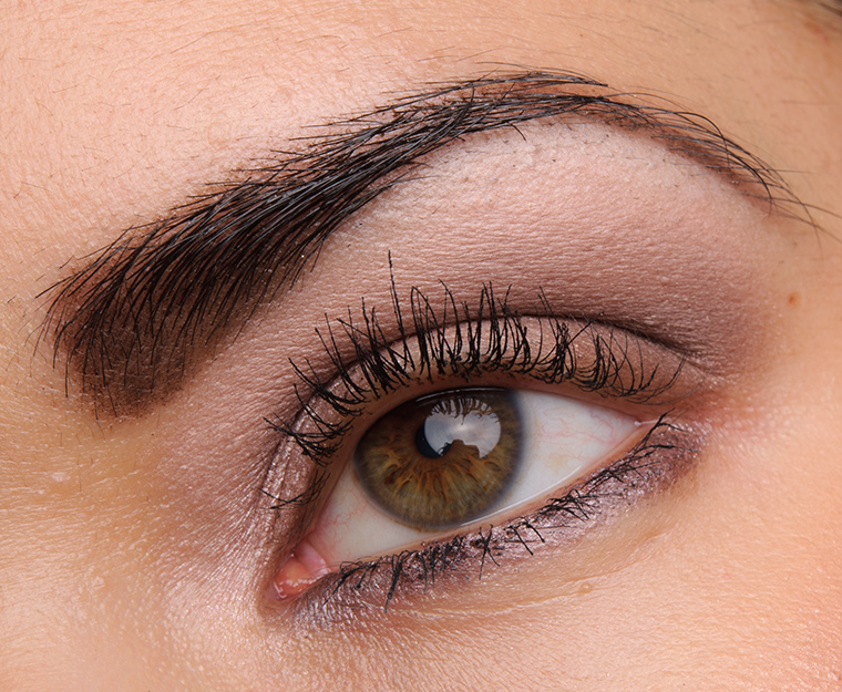 L'Oreal Pain au Chocolat Colour Riche Eyeshadow