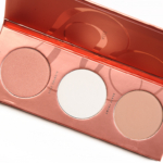 Zoeva Rose Golden Blush Palette