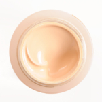 Shiseido O20 Future Solution LX SPF 20