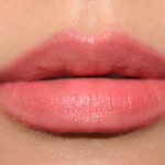 Urban Decay Snitch Vice Lipstick