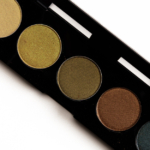 Makeup Atelier Amazon (T18) 5-Colors Eye Shadow Palette