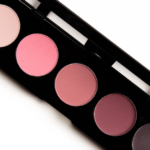 Makeup Atelier Wood Pink (T19) 5-Colors Eye Shadow Palette