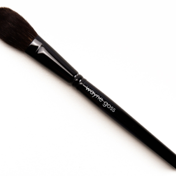 Wayne Goss The Air-Brush