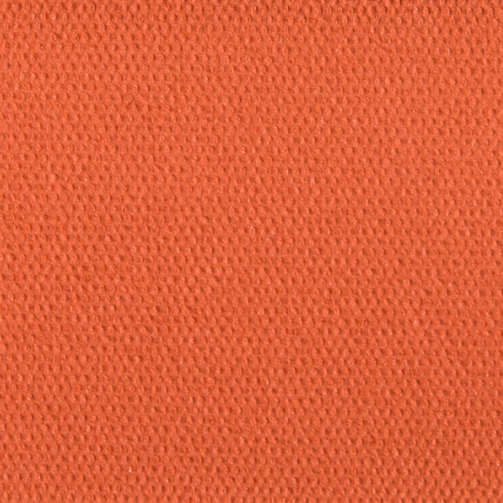 Viseart Blush Orange #2
