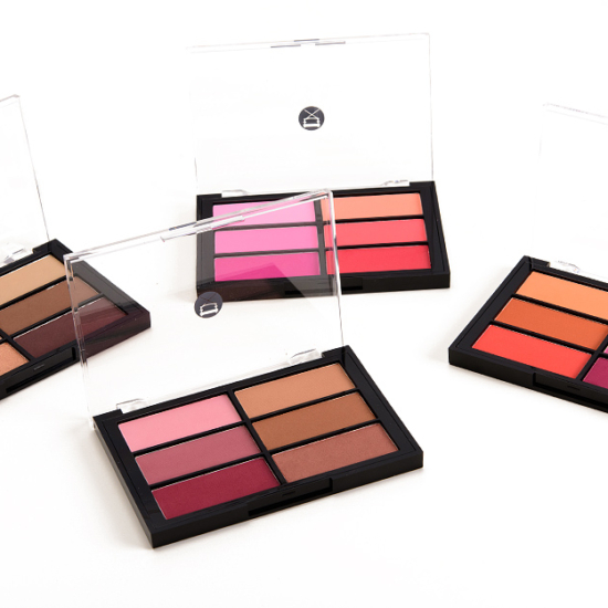 Viseart Blush Palette