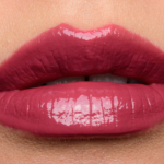 Anastasia Raisin Lip Gloss