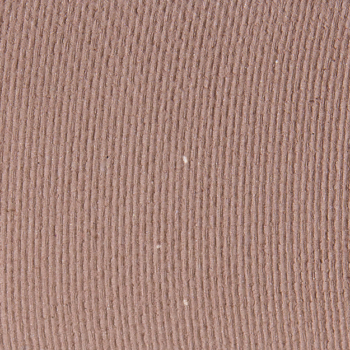 Buxom Trendsetter Eyeshadow