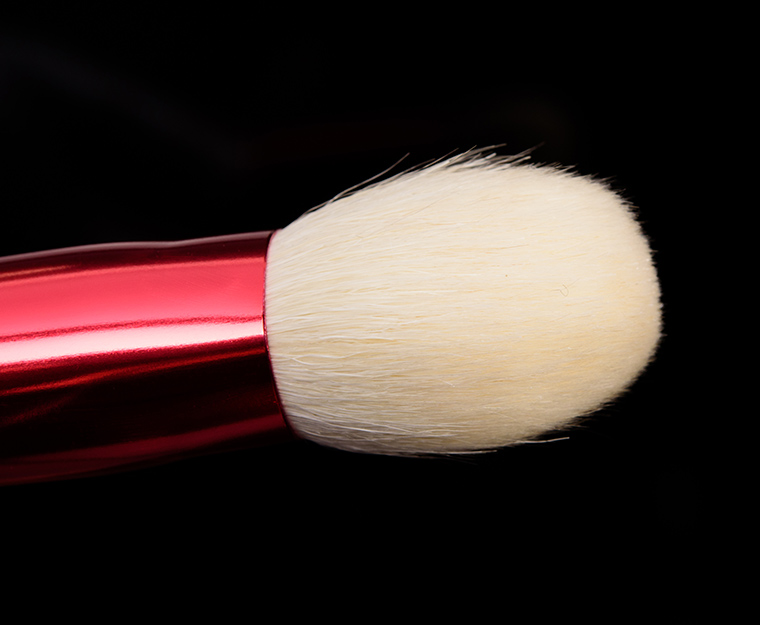 Chikuhodo The Foundation Brush