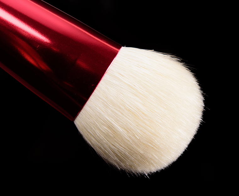 Chikuhodo The Foundation Brush