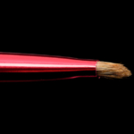 Chikuhodo The Brow Brush (Sakura 2016) 