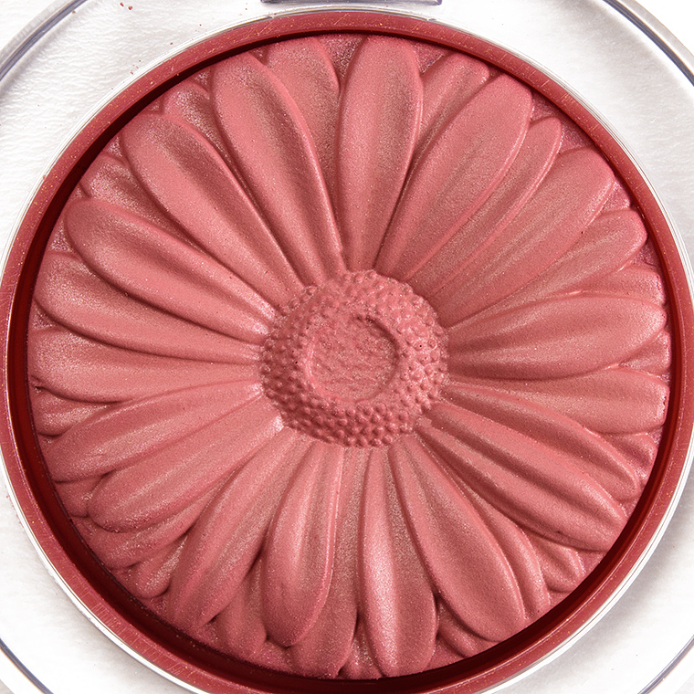 Clinique Black Honey Pop Cheek Pop Blush