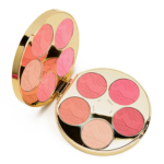 Tarte Color Wheel Holiday 2016 Blush Palette