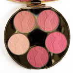Tarte Color Wheel Holiday 2016 Blush Palette