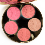Tarte Color Wheel Holiday 2016 Blush Palette