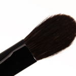 Wayne Goss Brush 06 