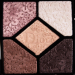 Dior Precious Embroidery (776) 5 Couleurs Splendor Eyeshadow Palette