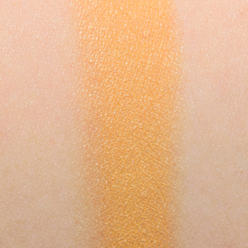 Viseart Saffron (Warm Mattes #4) Eyeshadow