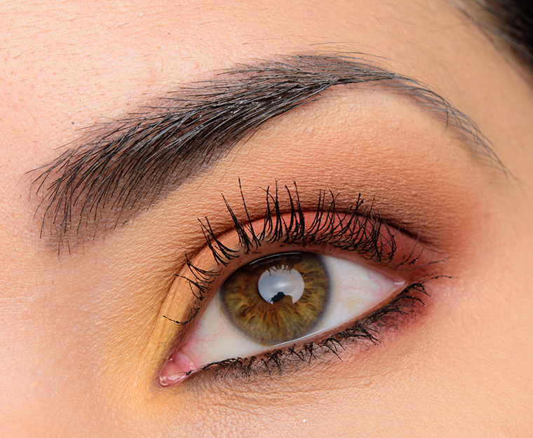 Viseart Warm Mattes Look | Look Breakdown