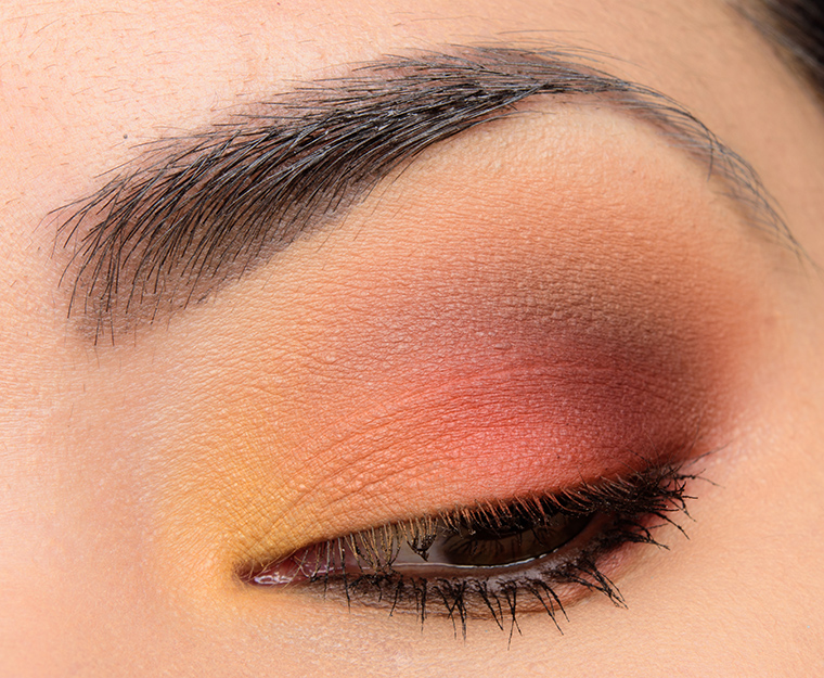 Viseart Warm Mattes Look | Look Breakdown