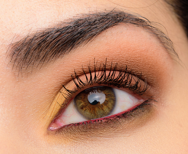 Too Faced Peanut Butter & Honey | Look Breakdown