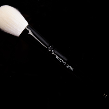 Wayne Goss Brush 11 (White)