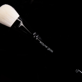Wayne Goss Brush 12 (White)