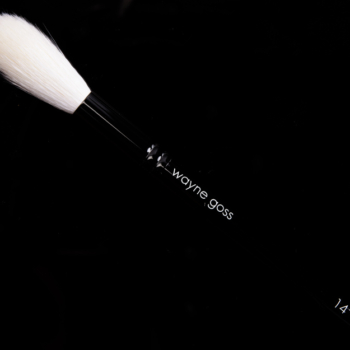 Wayne Goss Brush 14 (White)
