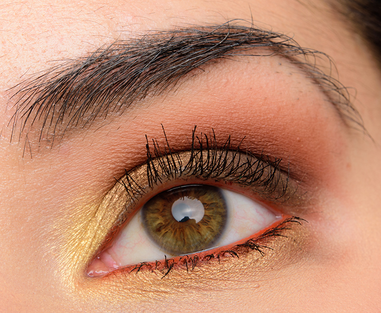 Urban Decay Gold Griot Palette | Look Details