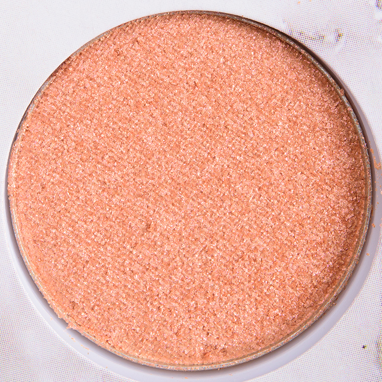 BH Cosmetics Carli Bybel Deluxe Edition #2 Eyeshadow