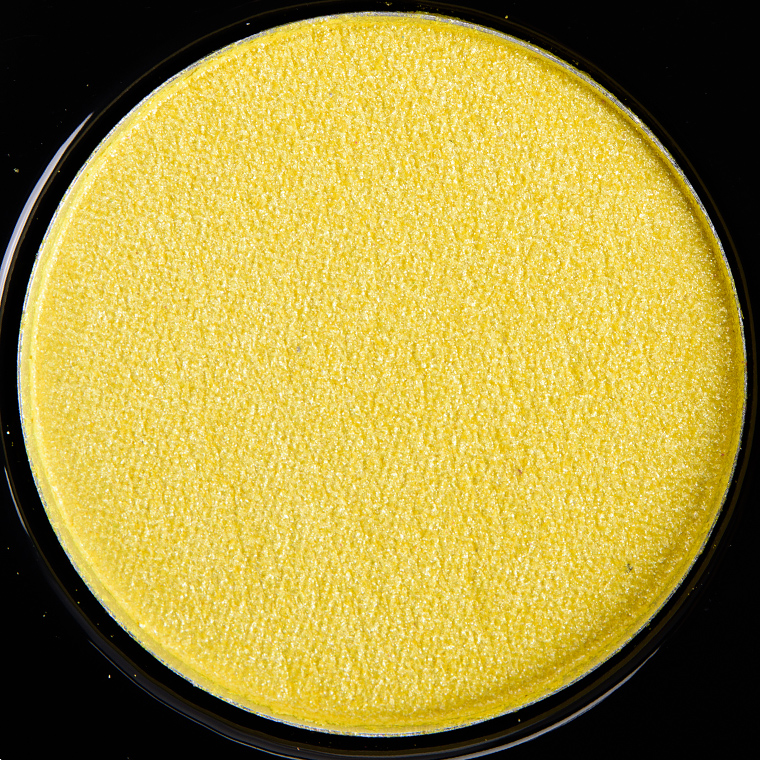 BH Cosmetics Club Tropicana #12 Foil Eyes Eyeshadow