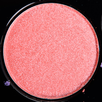 BH Cosmetics Club Tropicana #17 Foil Eyes Eyeshadow