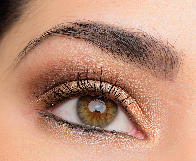 A Gold & Bronze Eye | Look Details