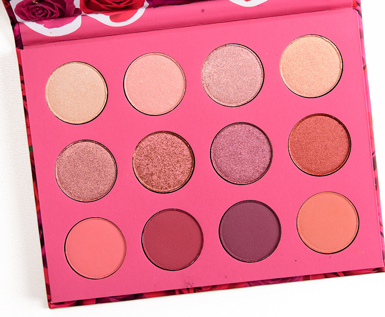 palette