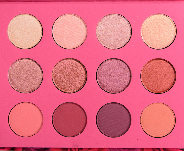 ColourPop She 12-Pan Pressed Powder Shadow Palette