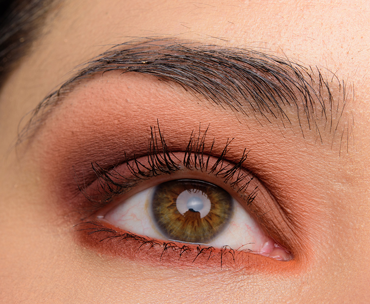 Sephora Warm PRO Eyeshadow Palette | Look Details