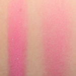 Wet 'n' Wild Fantastic Plastic Pink Color Icon Blush