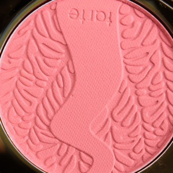 Tarte Amazonian Clay 12-Hour Blush Skillful