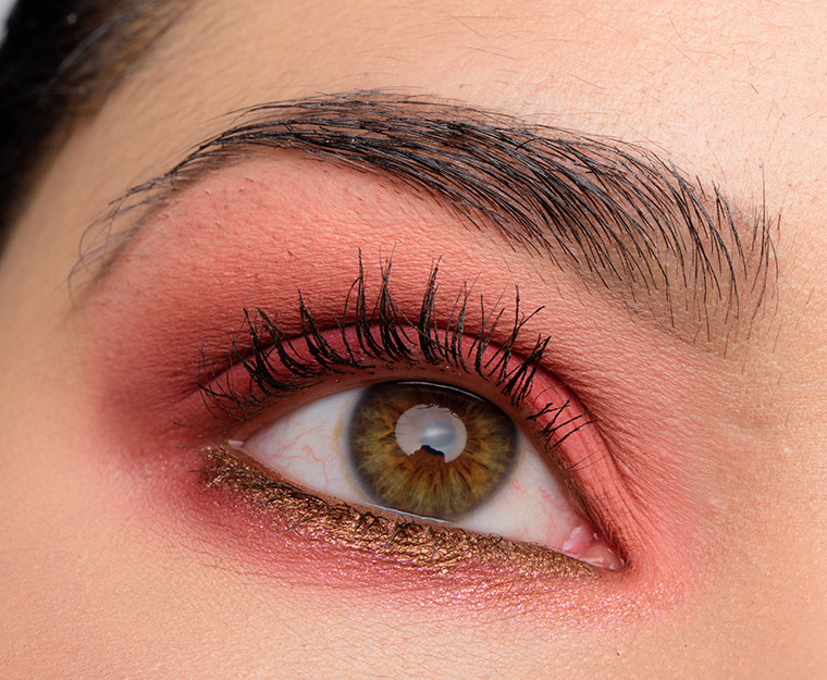 Too Faced Just Peachy Mattes | Look Details