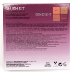 Anastasia Gradient Blush Kit