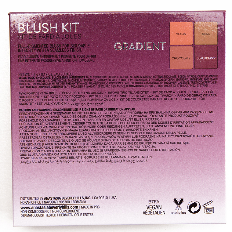 Anastasia Gradient Blush Kit
